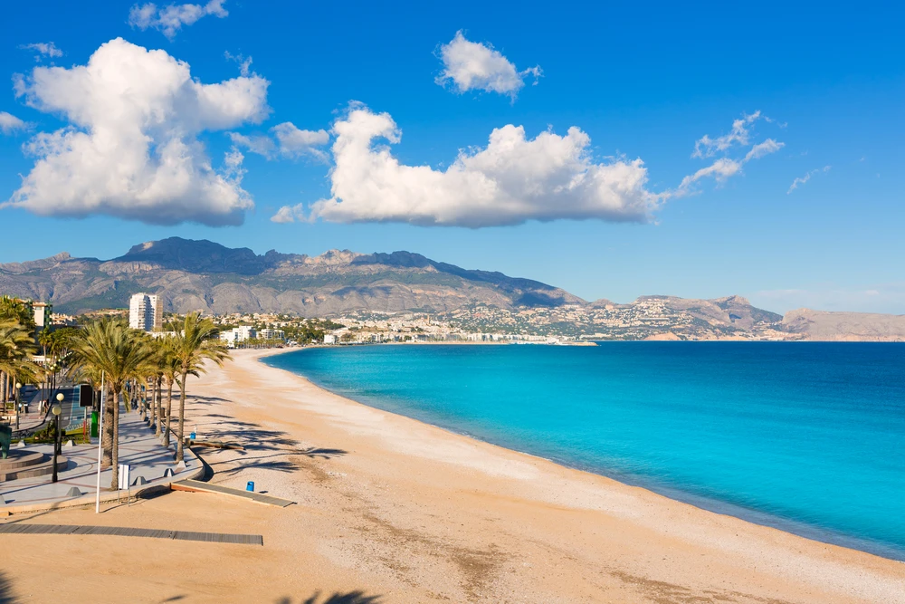 Plage de sable fin et palmiers sur la Costa Blanca