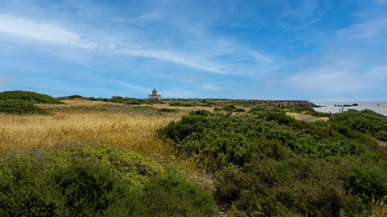 vue exterieur campagne de Torrevieja